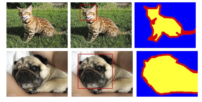 Image Segmentation in Python Using U-Net architecture
