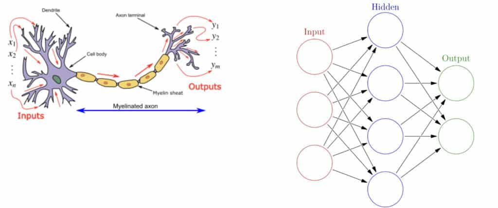 A primer on (Deep) Neural Networks